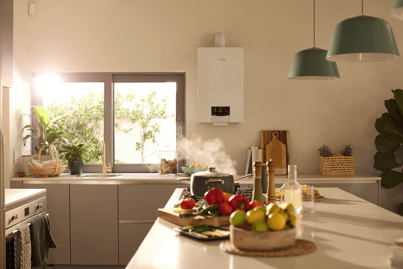 ecoTEC plus 10 - 35 kW 