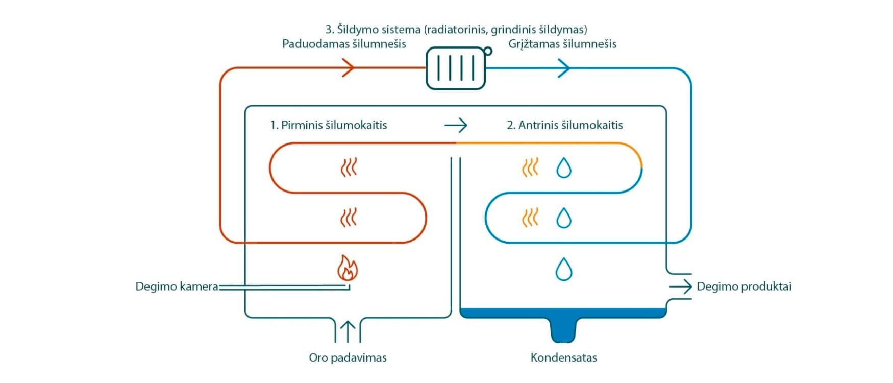 Infografika, rodanti, kaip veikia dujų kondensacinio katilo technologija