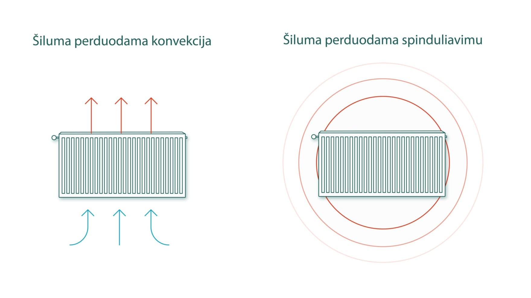 Spinduliuojančio ir konvekcinio šilumos grafikai