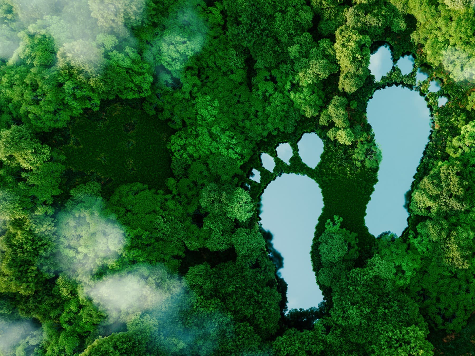 Ekologinis pėdsakas geresniam klimatui