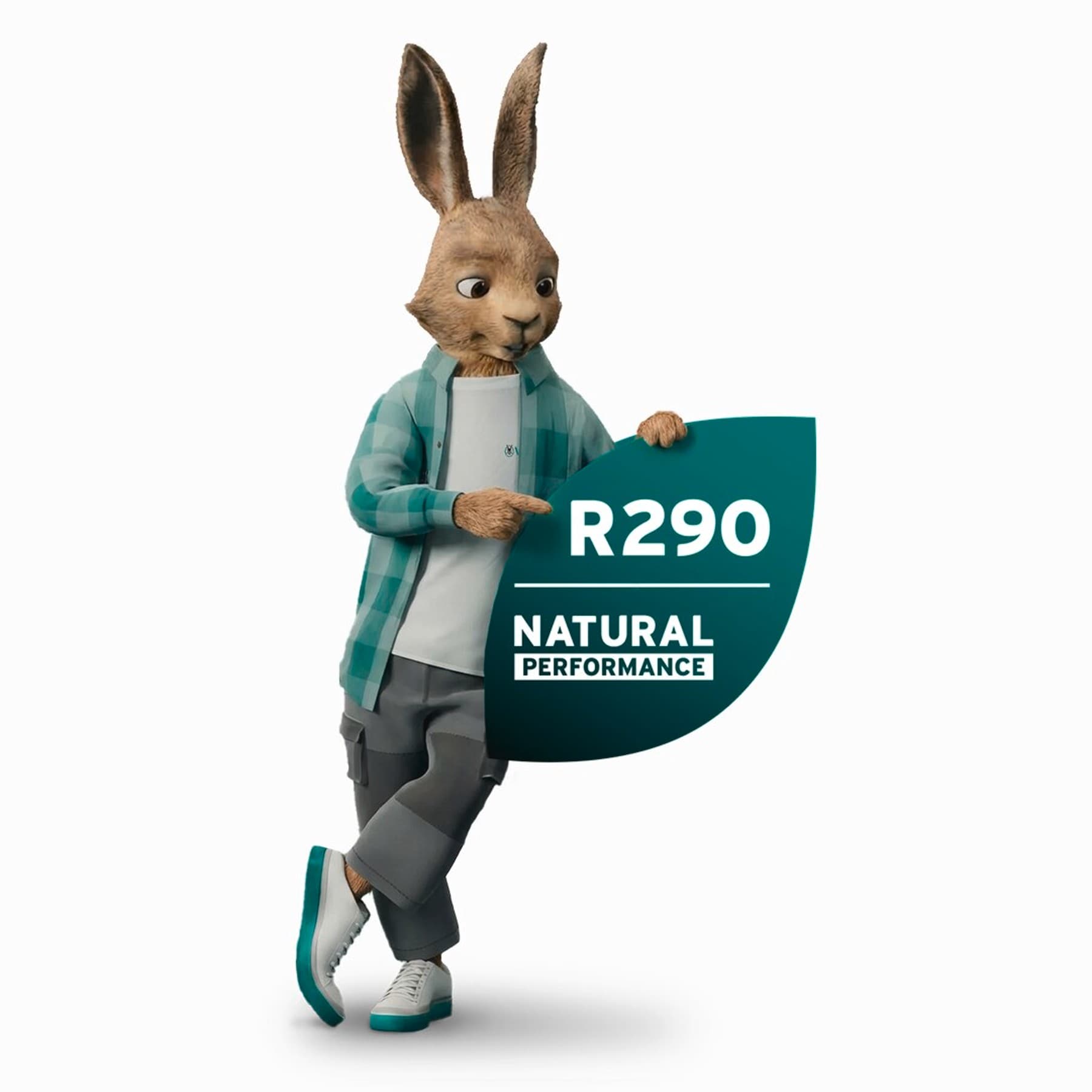 Vaillant kiškis su R290 antspaudu